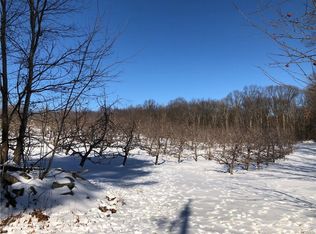 Fosler Rd, Plattekill, NY 12528