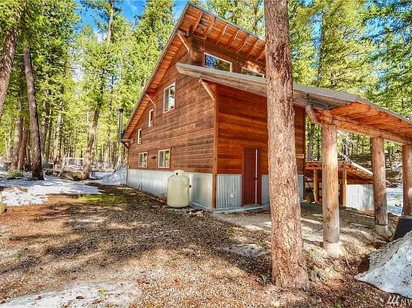 11 Doe Rd, Mazama, WA 98833