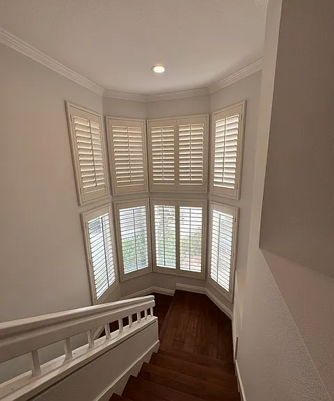 5 Bahia — Photo 35