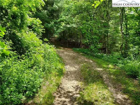 174 New Haven Road, Sparta, NC 28675