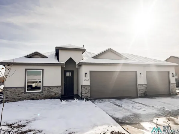 1005 Pima Dr, Carlsbad, NM 88220
