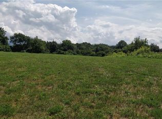 6 Old Meadow Ct, Livonia, NY 14487