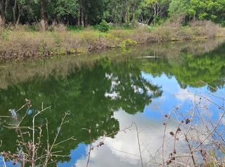 Burnsed Rd, Pierson, FL 32180