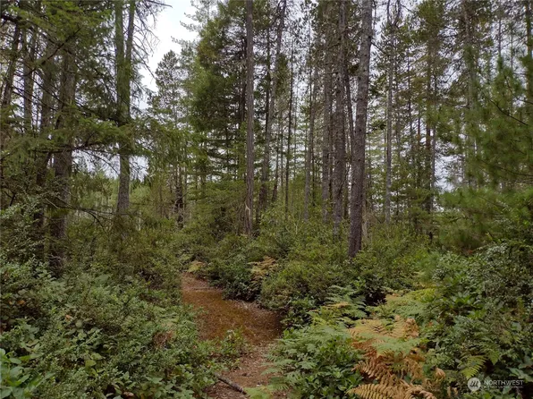 3511 NE Tahuya Blacksmith Rd, Tahuya, WA 98588