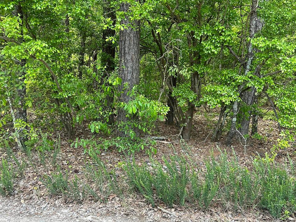 2nd image of 5120 Benenhaley Rd