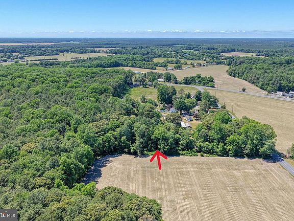 5th image of Holly Tree Rd Lot 8