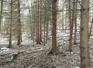 5393 County Route 17, Friendship, NY 14739