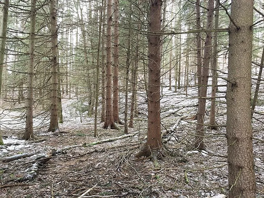 5393 County Route 17 photo 1