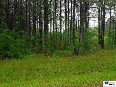 636 Whitehall Rd, Mangham, LA, 71259