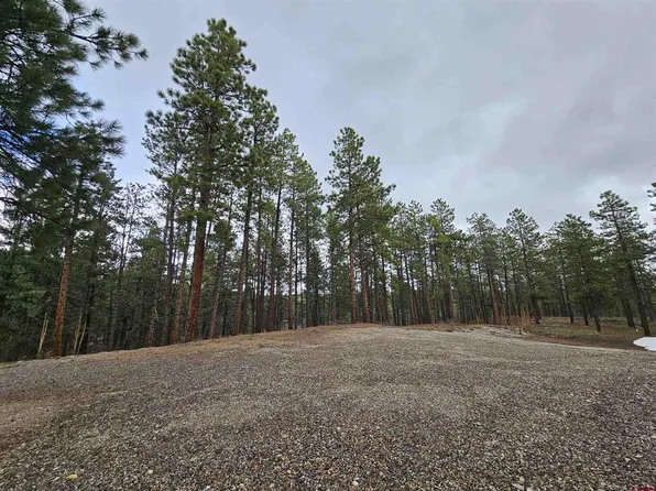 282 Pine Lane, Bayfield, CO 81122