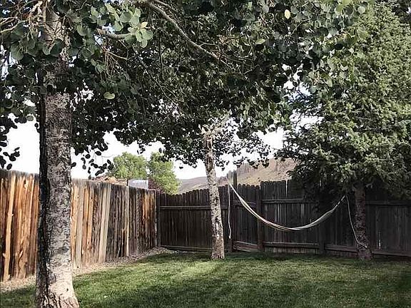 Grassy yards, mature trees.
