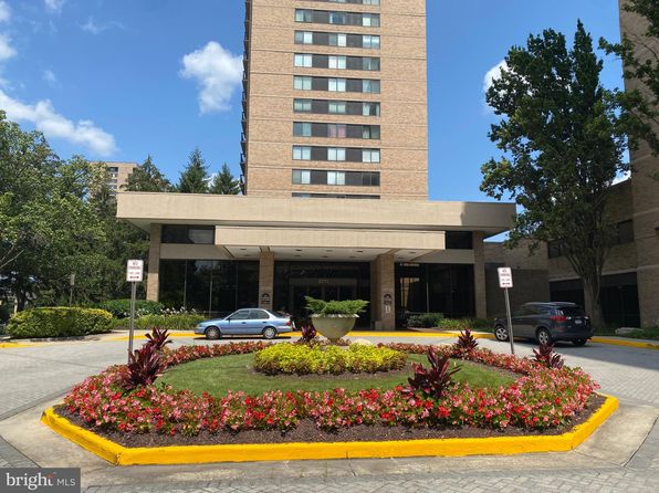 3713 George Mason Dr #407W