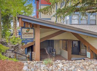 107 N Harris St #209, Breckenridge, CO 80424