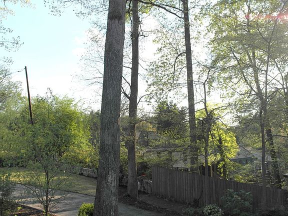 Trees and City View from front deck. 