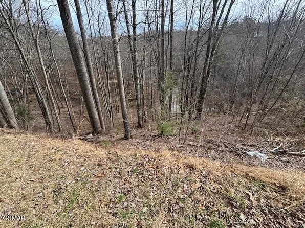 Lots 444 A Sky Vw, Sevierville, TN 37876