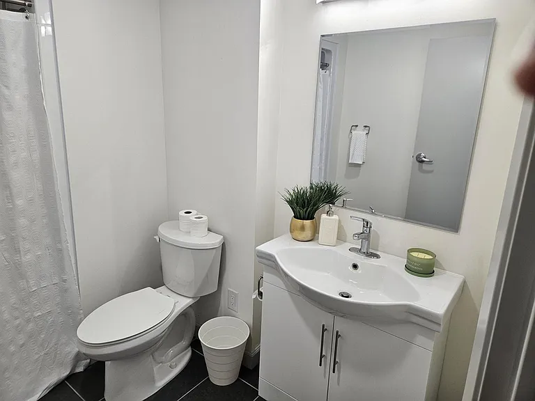 203 Albert St — Photo 3