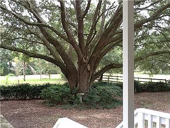 2nd image of 1109 Hidden Meadow Ln