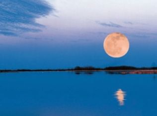 204 Northshore Pl, Madison, MS 39110