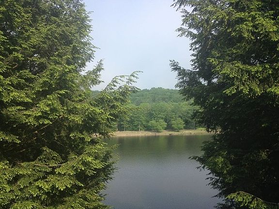 4th image of 163 Lake Shore Dr