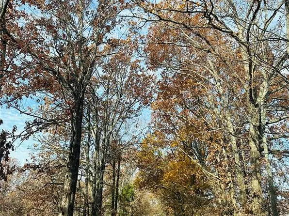 0 Bcr 807 Gln, Glenallen, MO 63751