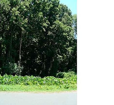 4th image of 6576 Emerald Isle Dr