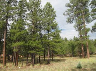 2807 Red Hawk Cir, Happy Jack, AZ 86024