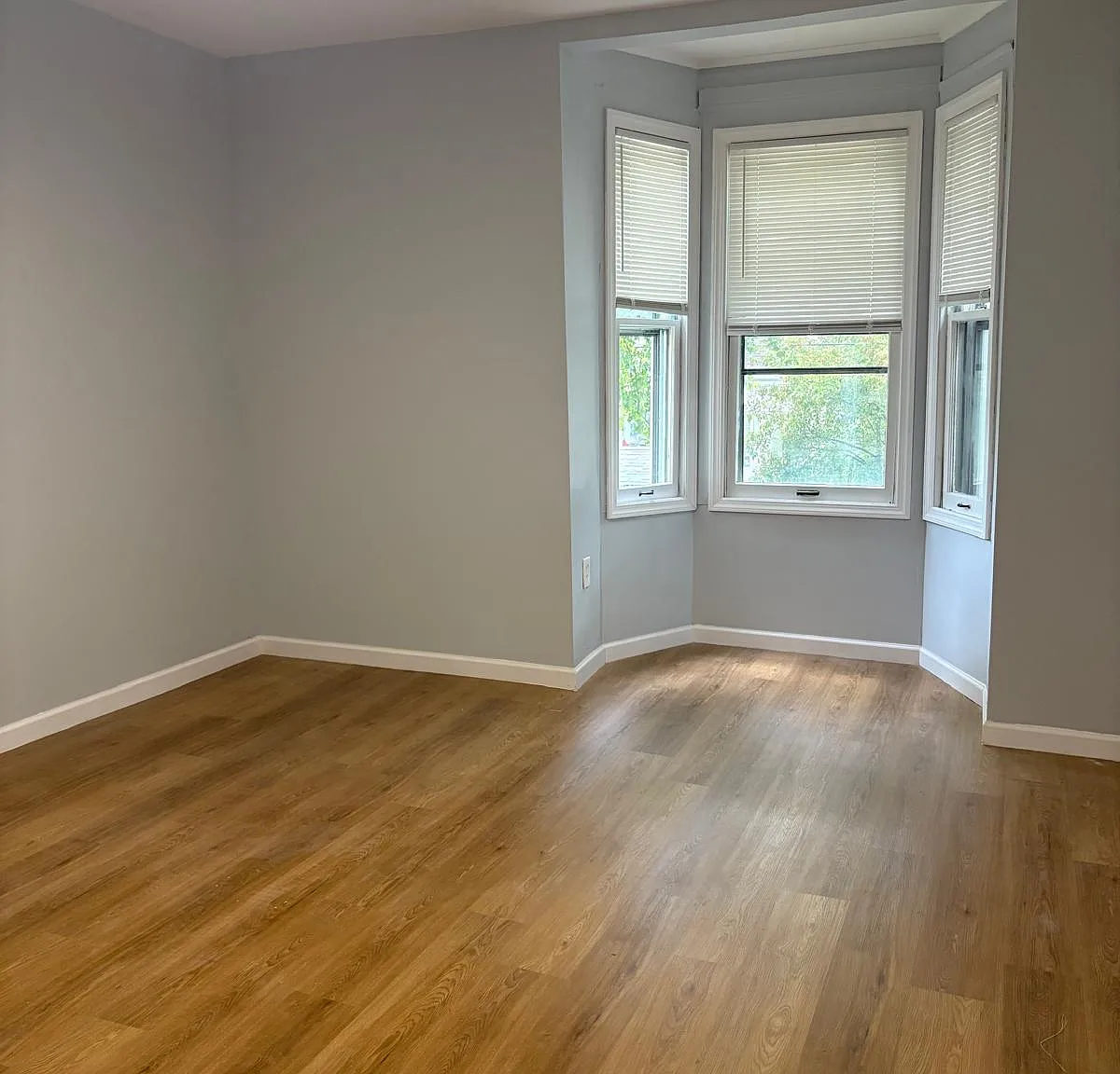 323 Elizabeth St — Photo 3