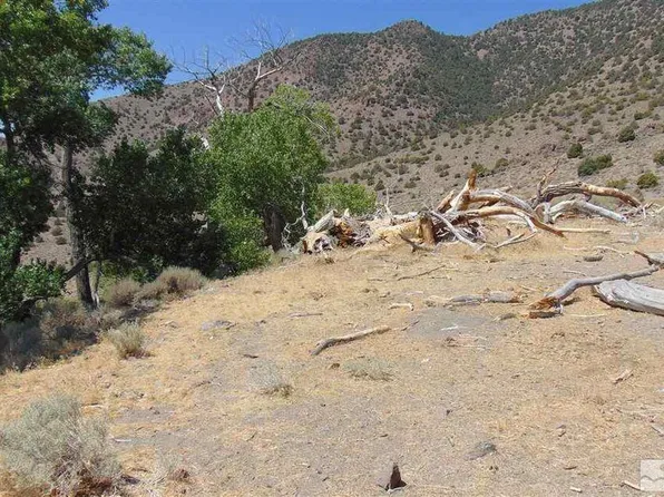 429110 Sutro Springs Rd, Dayton, NV 89403