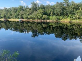 973 NW Banta Acres Rd, Mayo, FL 32066