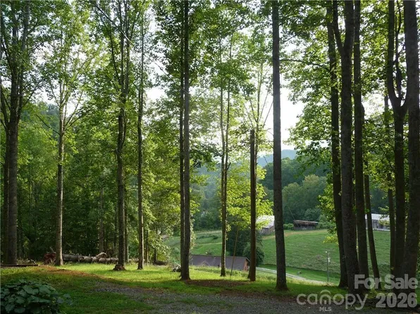 0 Joe Shoemaker Rd, Vilas, NC 28692
