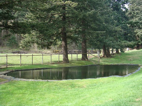 Natural Swimming Hole