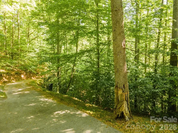 52 Morningside Dr #52, Tuckasegee, NC 28783