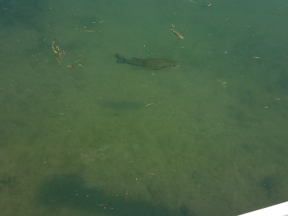 2nd image of 38344 Huron Pointe Dr