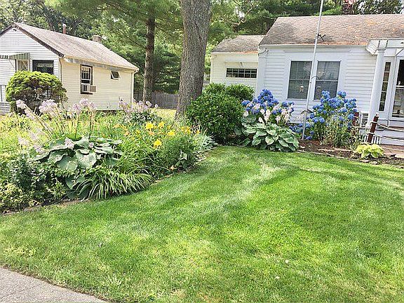 Gorgeous wildflower garden