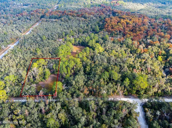 0 Rose Bloom Ave Lot 7, Webster, FL 33597