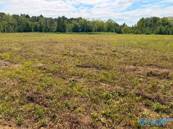 LOT 15 County Road 39, Piedmont, AL 36272