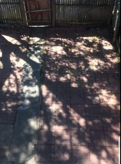 526 Park St — Photo 3