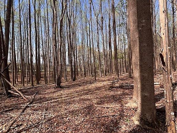 5th image of Caves Mill Rd