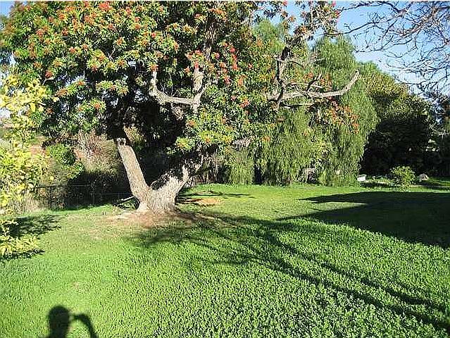 1st image of 1450 Alta Vista Dr
