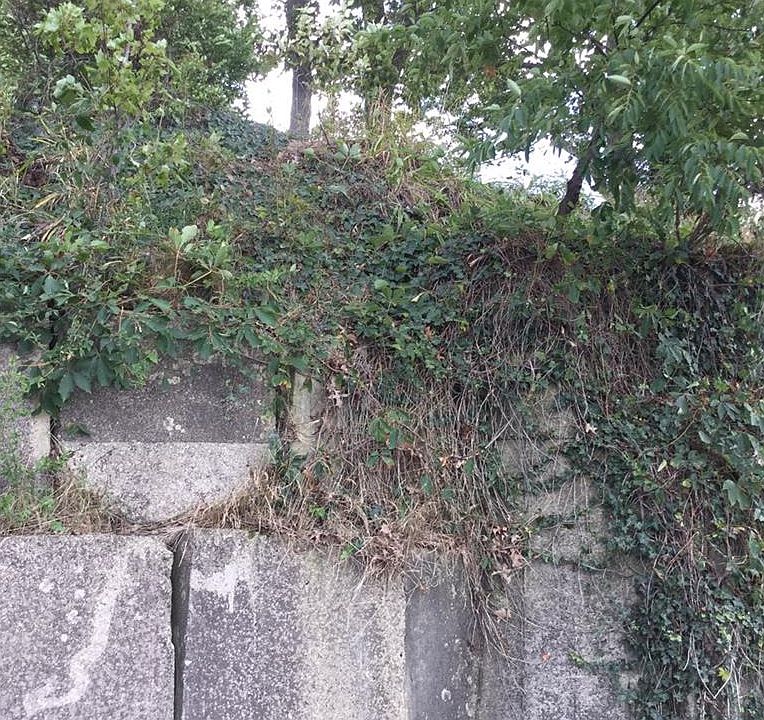 2nd image of 33104 Lake Rd