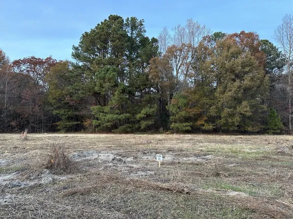 LOT F Saint Johns Church Rd Lot F, Zebulon, NC 27597