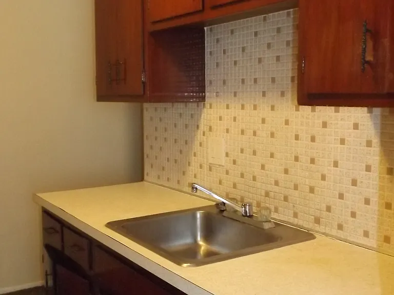 841 Silver Meadows Blvd — Photo 12