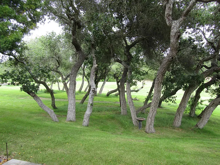48 Stanford Cir — Photo 4