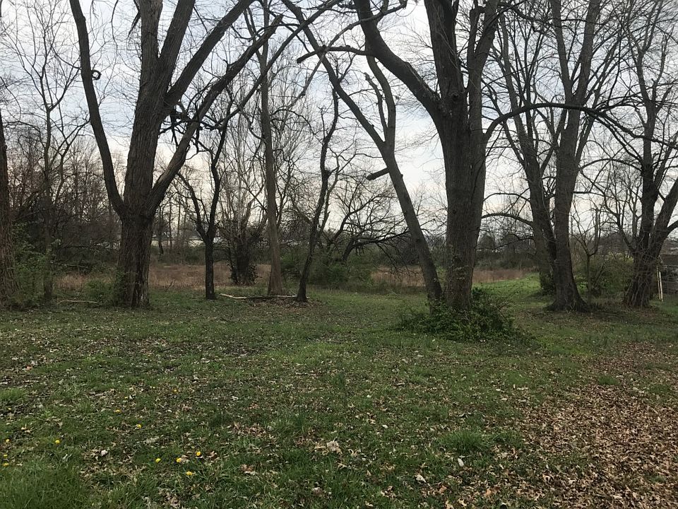 2nd image of Briscoe Dr