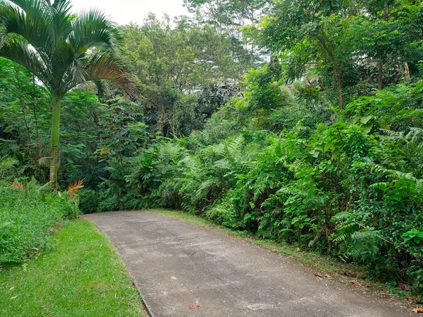 27-2430 Hawaii Belt Rd #3, Papaikou, HI 96781