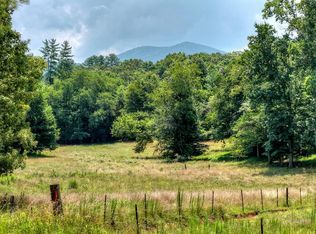 963 Black Ankle Ln, Blue Ridge, GA 30513