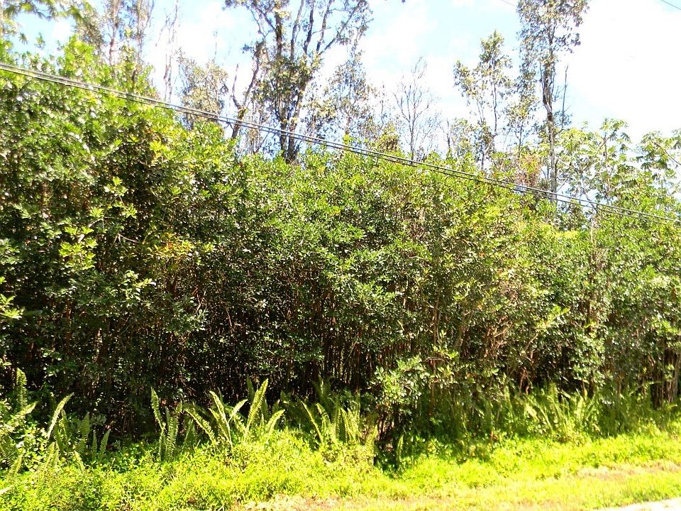 2nd image of 14th Ave Lot 477