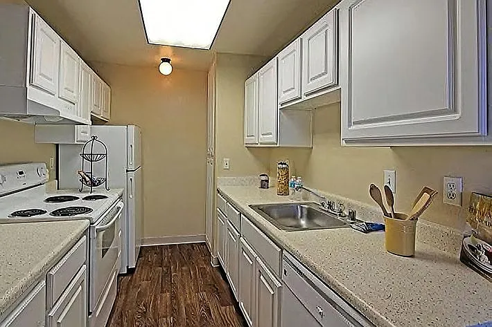 Monte Vista Apartments — Photo 5