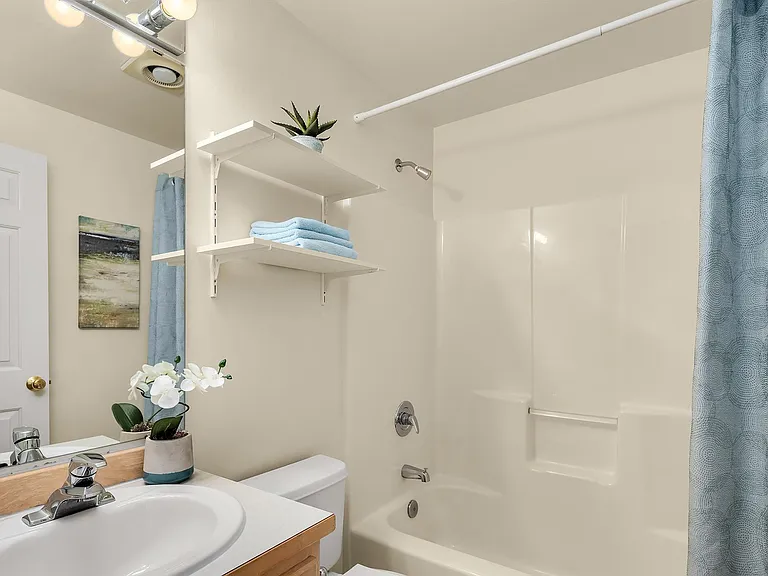 Hall bathroom.