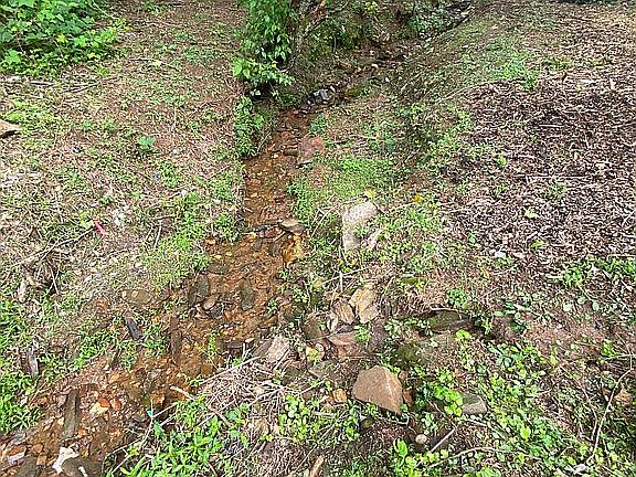 Small Creek. 30ft from home.